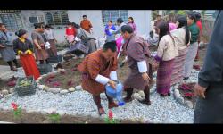 Initiatives towards beautification
